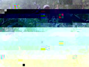 elk 2013-3-resized.jpg