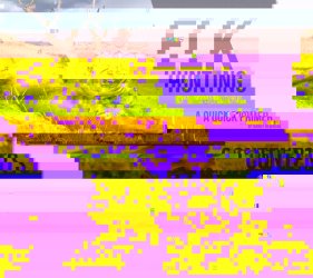 Randy Newberg_elkhuntingeguide.jpg