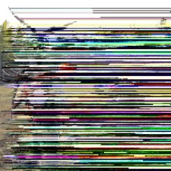 image.jpeg