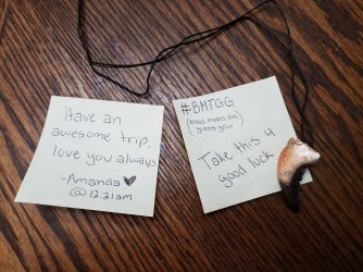 1 good luck charm.jpg